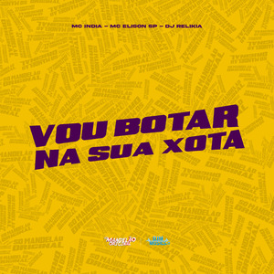 Vou Botar na Sua Xota