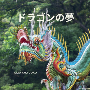 ドラゴンの夢 (Reimagined)