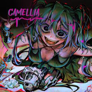 Camellia