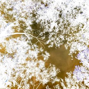 Si, je suis la ça se passera bien