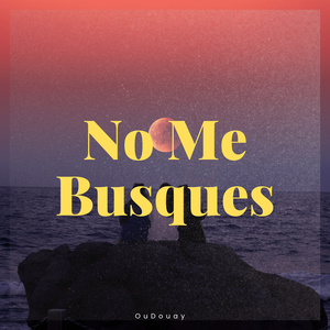 No Me Busques