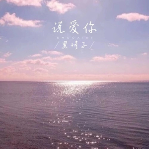 说爱你（吉他男声版）（翻自 沈以诚）