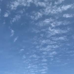 ダーリン（翻自 MARETU）