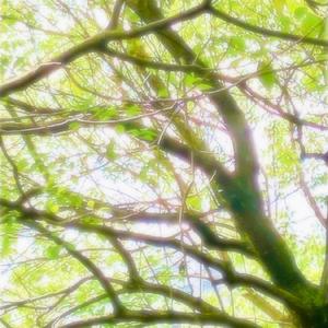 被過去鎖住的氣味讓我回憶愛*^_^*