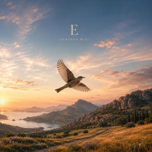 E (strings mix)