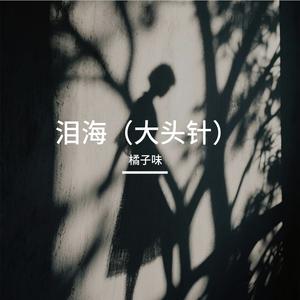 泪海（大头针）