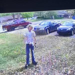 WINGS IS REGAINED (feat. akaneff)