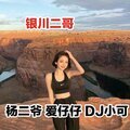 嗨曲硬曲