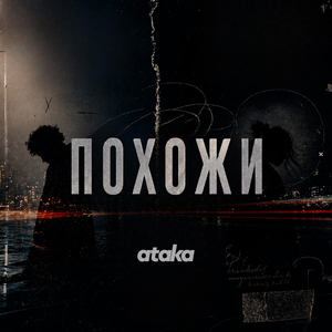 похожи
