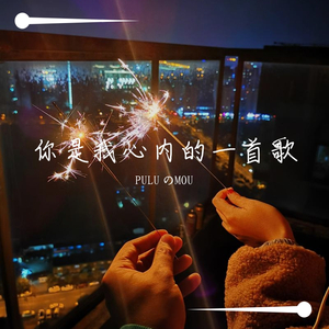 你是我心内的一首歌（with PULU.）