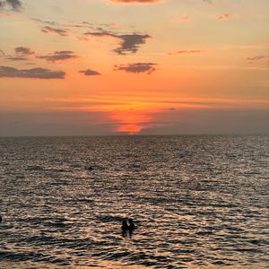 Тени на стене.