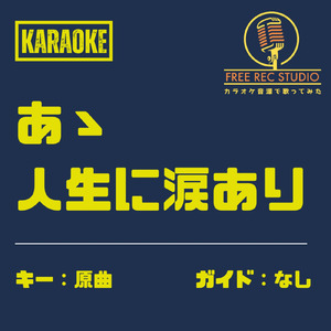 あゝ人生に涙あり (カラオケ ガイドなし)