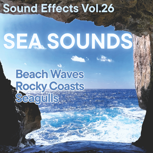 Rocky Coast – Close Seagull Calls & Crashing Surf (Costa rocciosa – richiami di gabbiani vicini e onde sugli scogli)
