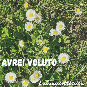 Avrei voluto