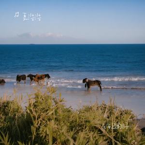 在海边的日子