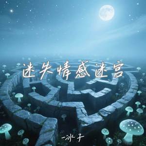 迷失情感迷宫