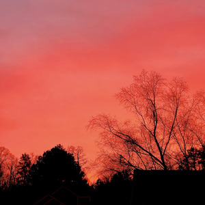 It Will Never Be The Same