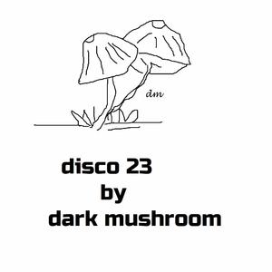 disco 23
