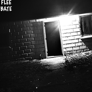 Mr. Langleys Flying Lawnmowers