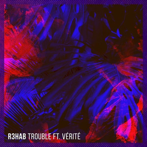Trouble (It's Different Remix)