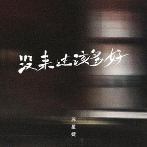 没来过该多好
