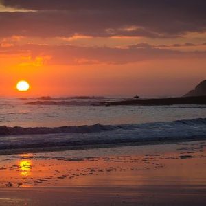 虞兮叹(闻人听書)