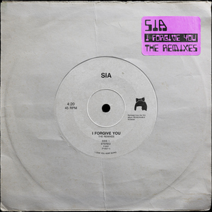 I Forgive You - Chromeo Remix (radio edit)