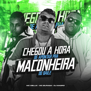 Chegou a Hora de Apontar pra Maconheira do Baile