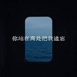 你站在高处把我遗忘