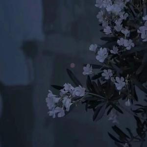 五十年以后（立体声版）