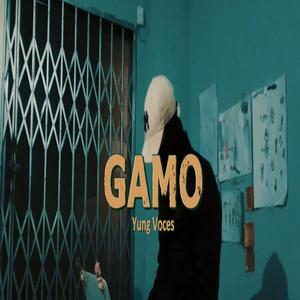 Gamo (feat. 99Beatz & Pureza Beatz)