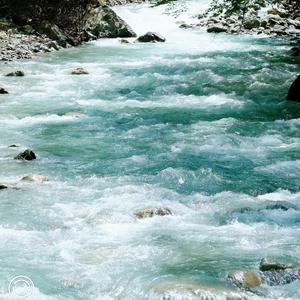 在梦里去过盛夏的尽头