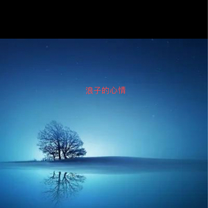 浪子的心情（纯音乐）