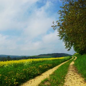 一个人的世界 伴奏