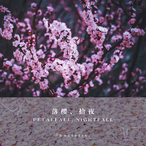 落樱、拾夜