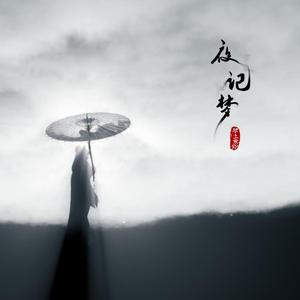 夜记梦
