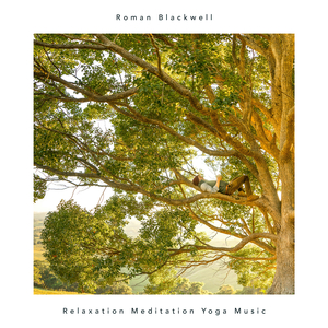 Meditator