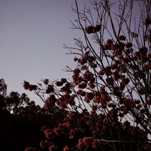 十里 (cover 加木)