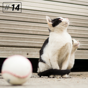 Play Ball (Vocal TITUS)