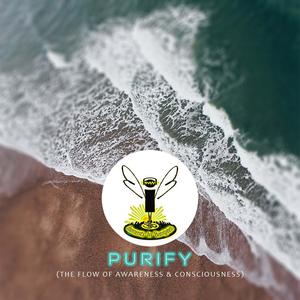 Purify (The Flow of Awareness & Consciousness)