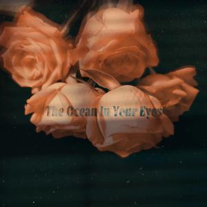 Friends' Funny Jokes