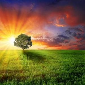 THE AMOUNT OF HAPPINNESS WITH CLOUDS AND DIRT KEEP UP THE EXTRAORDINARY WORK