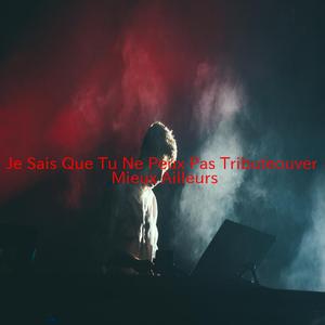 Je Sais Que Tu Ne Peux Pas Trouver Mieux Ailleurs (Karaoke tribute version originally performed by Johnny Hallyday)