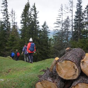 迁徙（纯享版）