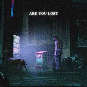 park bird-ARE YOU LOST