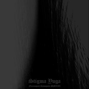 Xenolithic anti-vessel