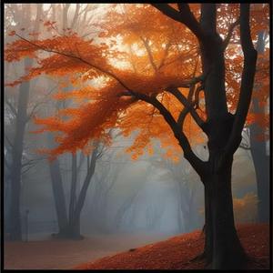 用离别去试探爱