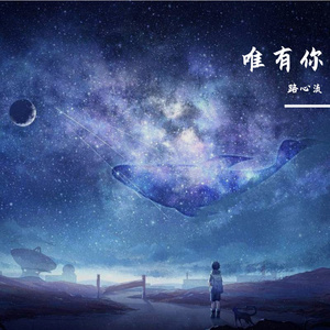 你是我的流星 伴奏