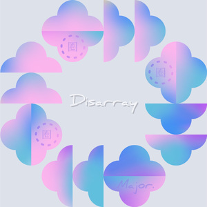 圈 Disarray