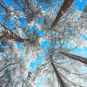 曾经的自己你现在羡慕吗